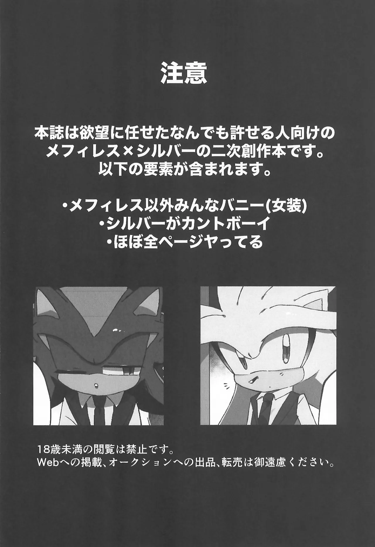 (SoniFes! 3) [Nikokan (Niko)] WHITE SURRENDER (Sonic the Hedgehog) numero di immagine  4