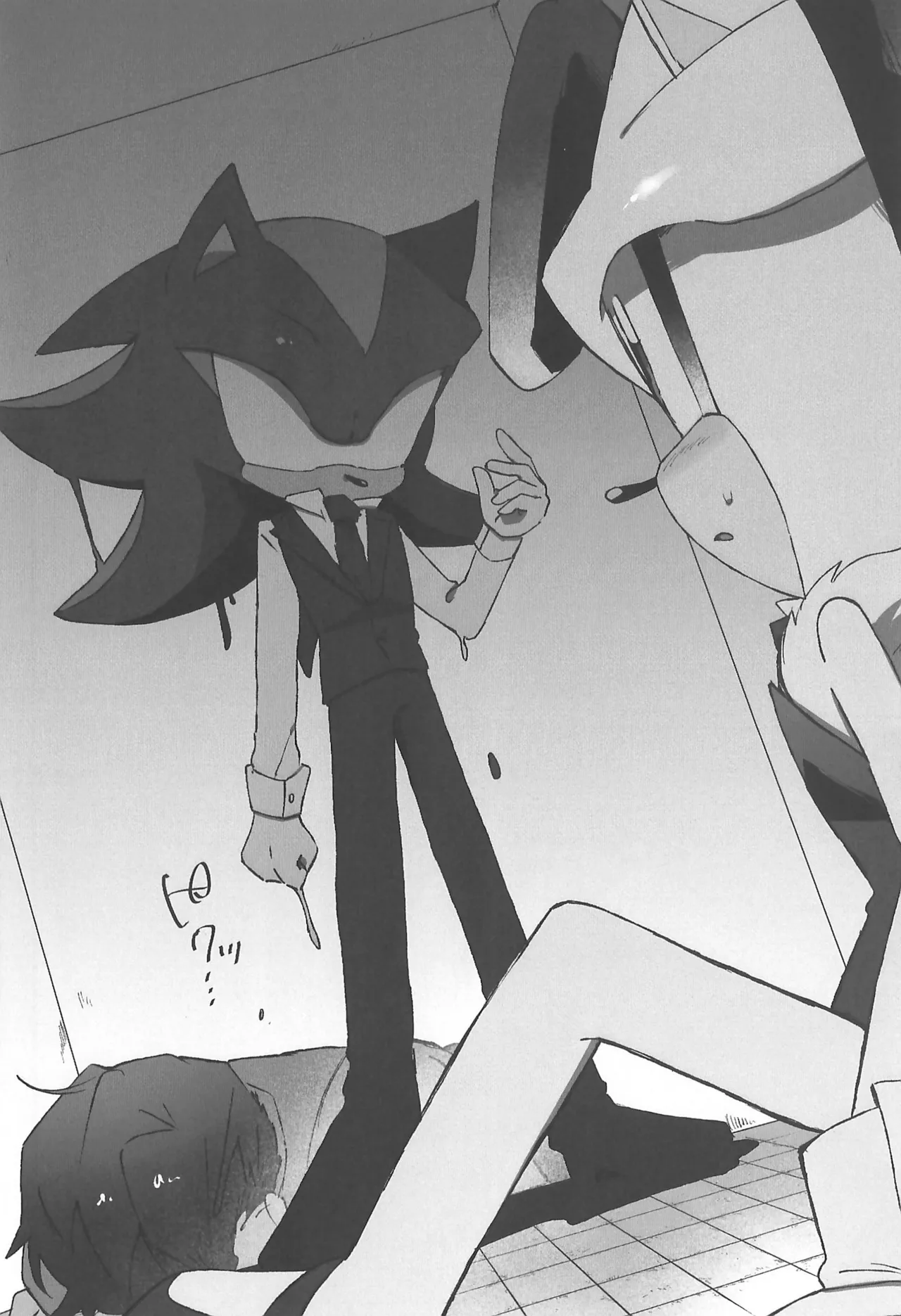 (SoniFes! 3) [Nikokan (Niko)] WHITE SURRENDER (Sonic the Hedgehog) numero di immagine  10