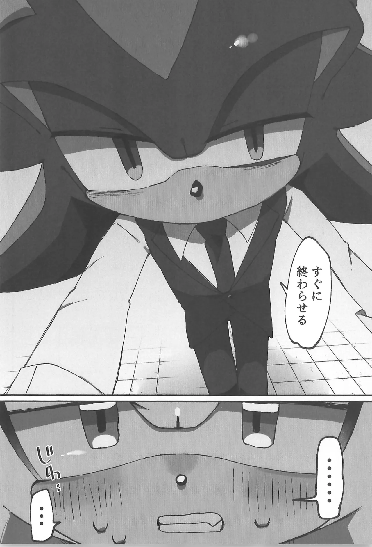 (SoniFes! 3) [Nikokan (Niko)] WHITE SURRENDER (Sonic the Hedgehog) numero di immagine  32