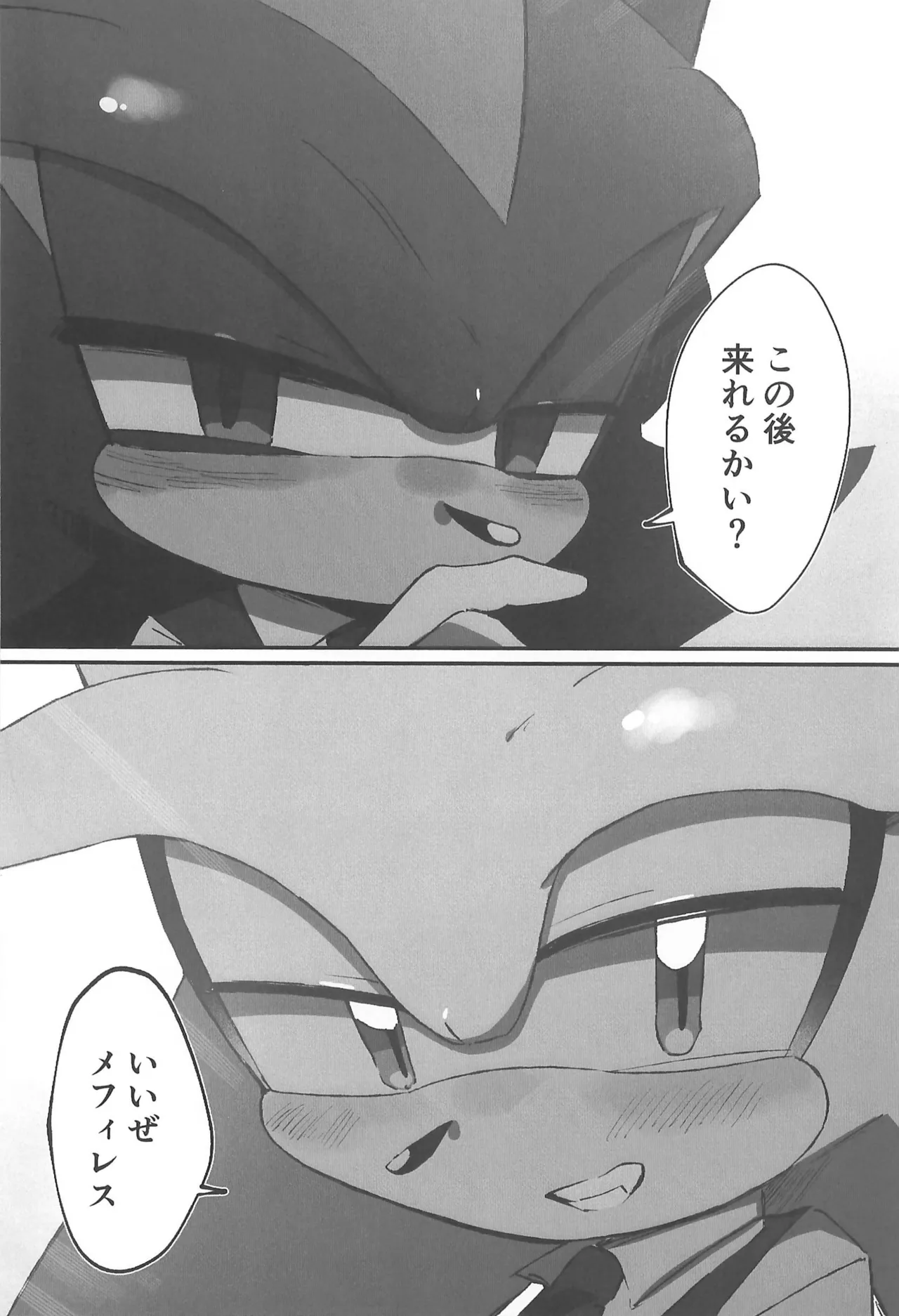 (SoniFes! 3) [Nikokan (Niko)] WHITE SURRENDER (Sonic the Hedgehog) numero di immagine  40