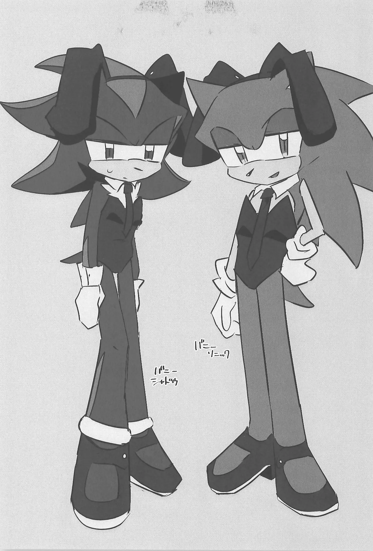 (SoniFes! 3) [Nikokan (Niko)] WHITE SURRENDER (Sonic the Hedgehog) numero di immagine  41