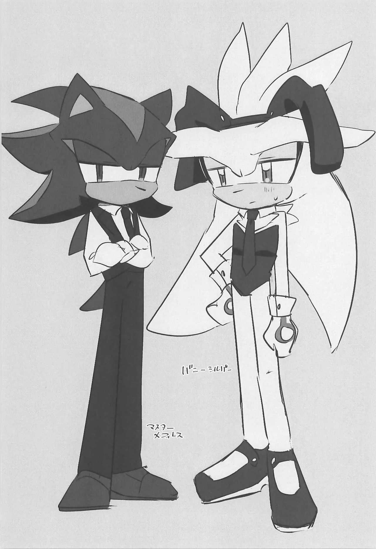 (SoniFes! 3) [Nikokan (Niko)] WHITE SURRENDER (Sonic the Hedgehog) numero di immagine  42