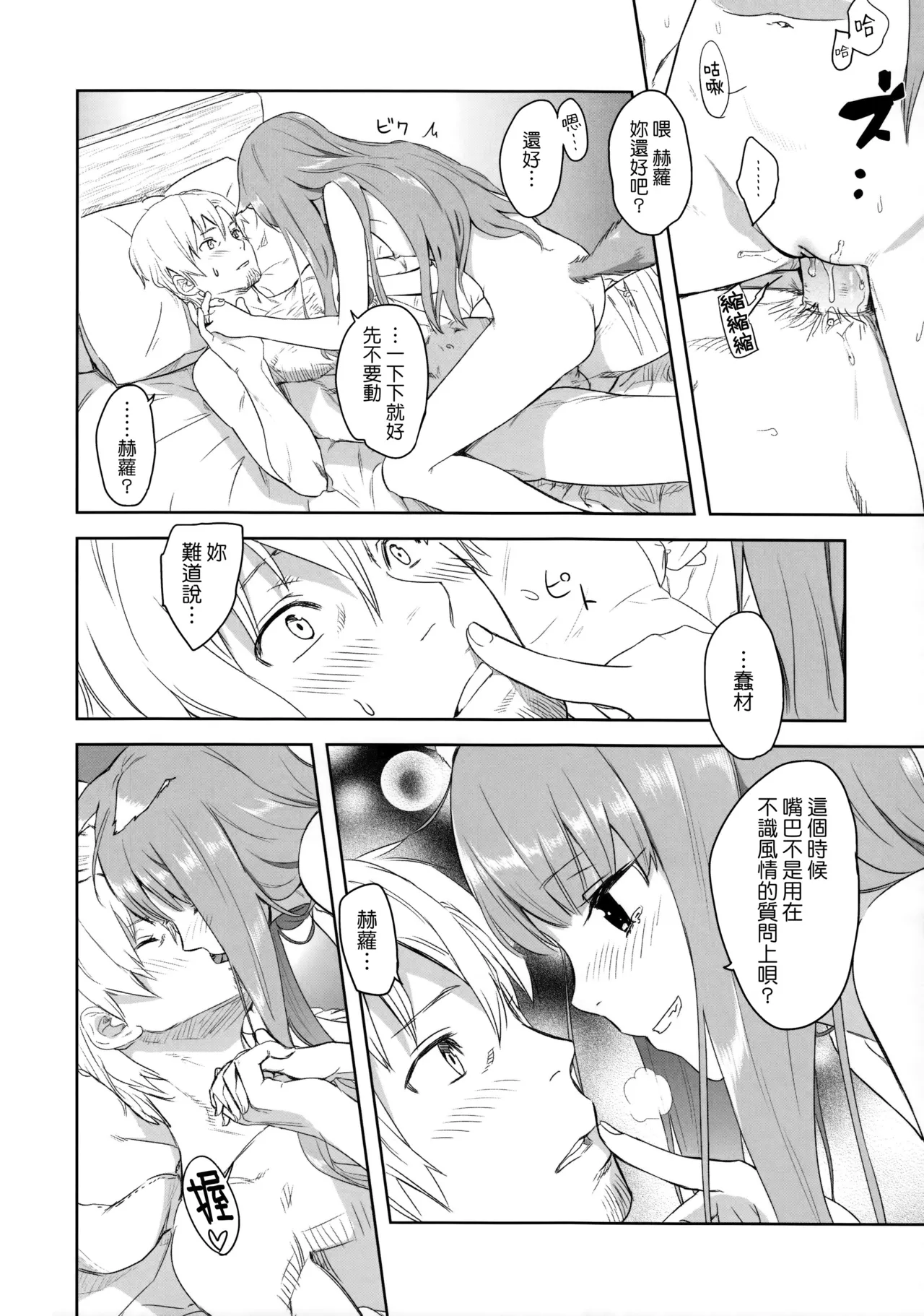 (C83) [Ajisaidenden (Kawakami Rokkaku, Takanashi Rei)] Harvest II (Spice and Wolf)  [Chinese] [Genesis漢化 & eve重嵌] image number 27