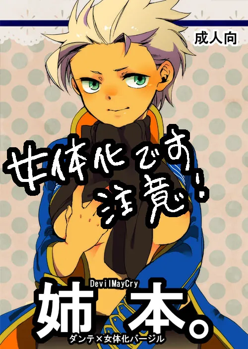 (C80) [TOMMY (トミタ)]姉本。1 [Dante x Vergil](Devil May Cry) [Chinese] Bildnummer 1