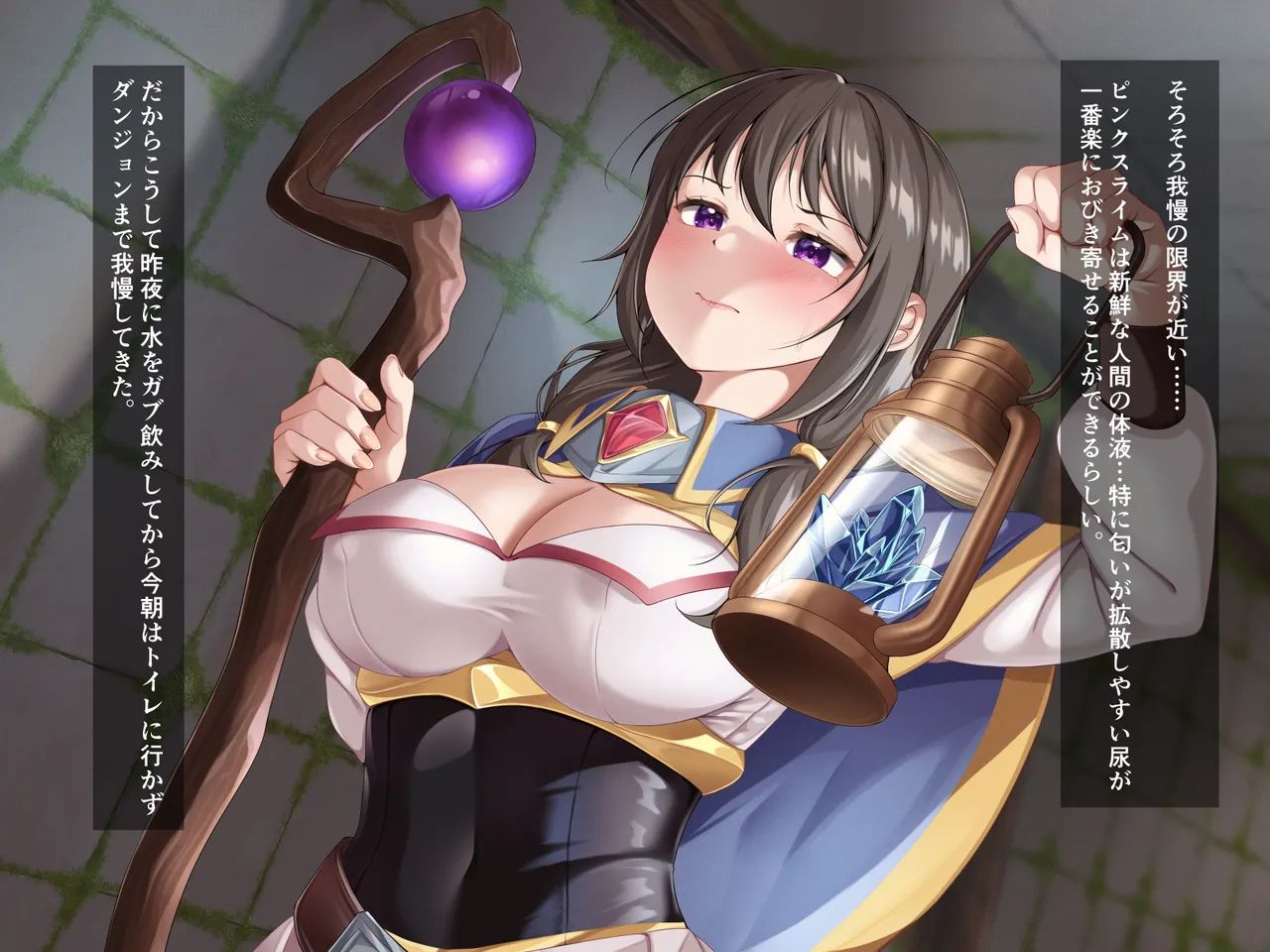 [Gensou no Yume] Ero slime dungeon ～slime sozai wo torini kitahazuga kairakuduke ni saremashita～ image number 3