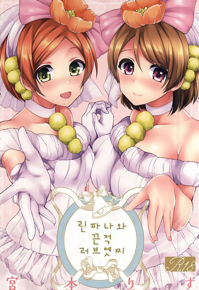 (SC2015 Autumn) [liz project (Miyamoto Liz)] RinPana to Icha Love Ecchi | 린파나와 끈적 러브 엣찌 (Love Live) [Korean] 图片编号 1