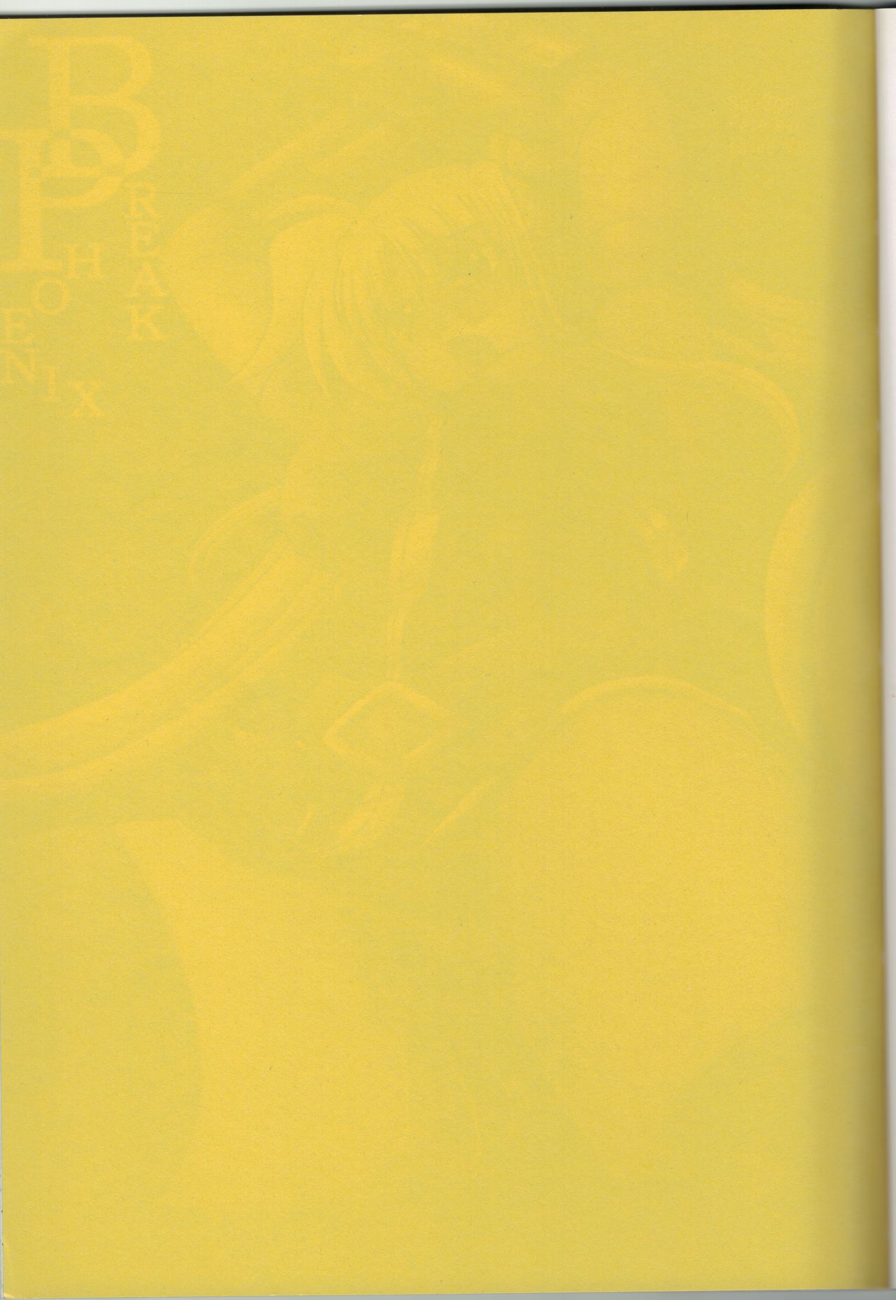 [Tekkyuu Chain (Kirimomi Shoot)] BREAK PHOENIX (Mahou Shoujo Lyrical Nanoha) 图片编号 2