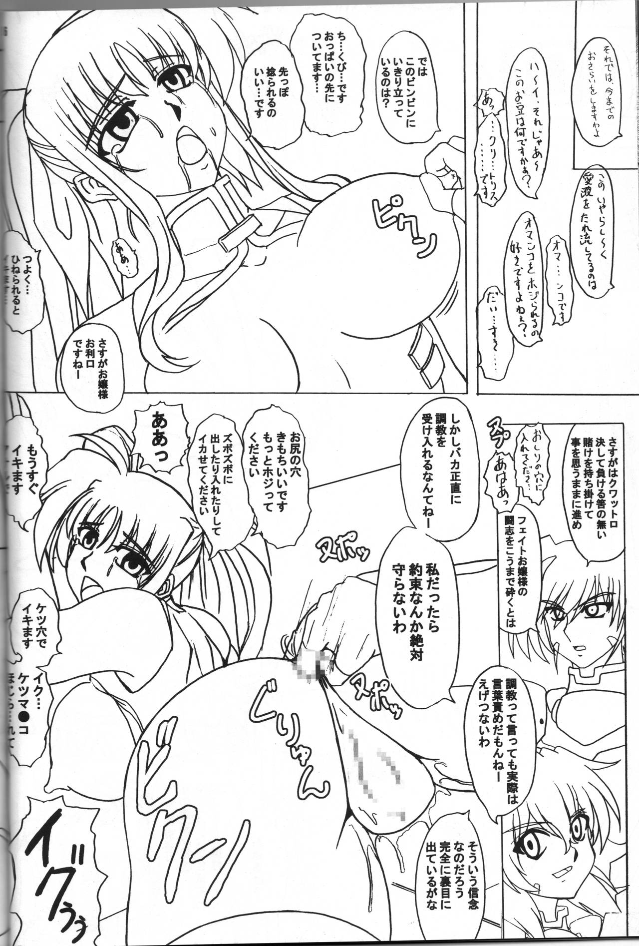 [Tekkyuu Chain (Kirimomi Shoot)] BREAK PHOENIX (Mahou Shoujo Lyrical Nanoha) 图片编号 15