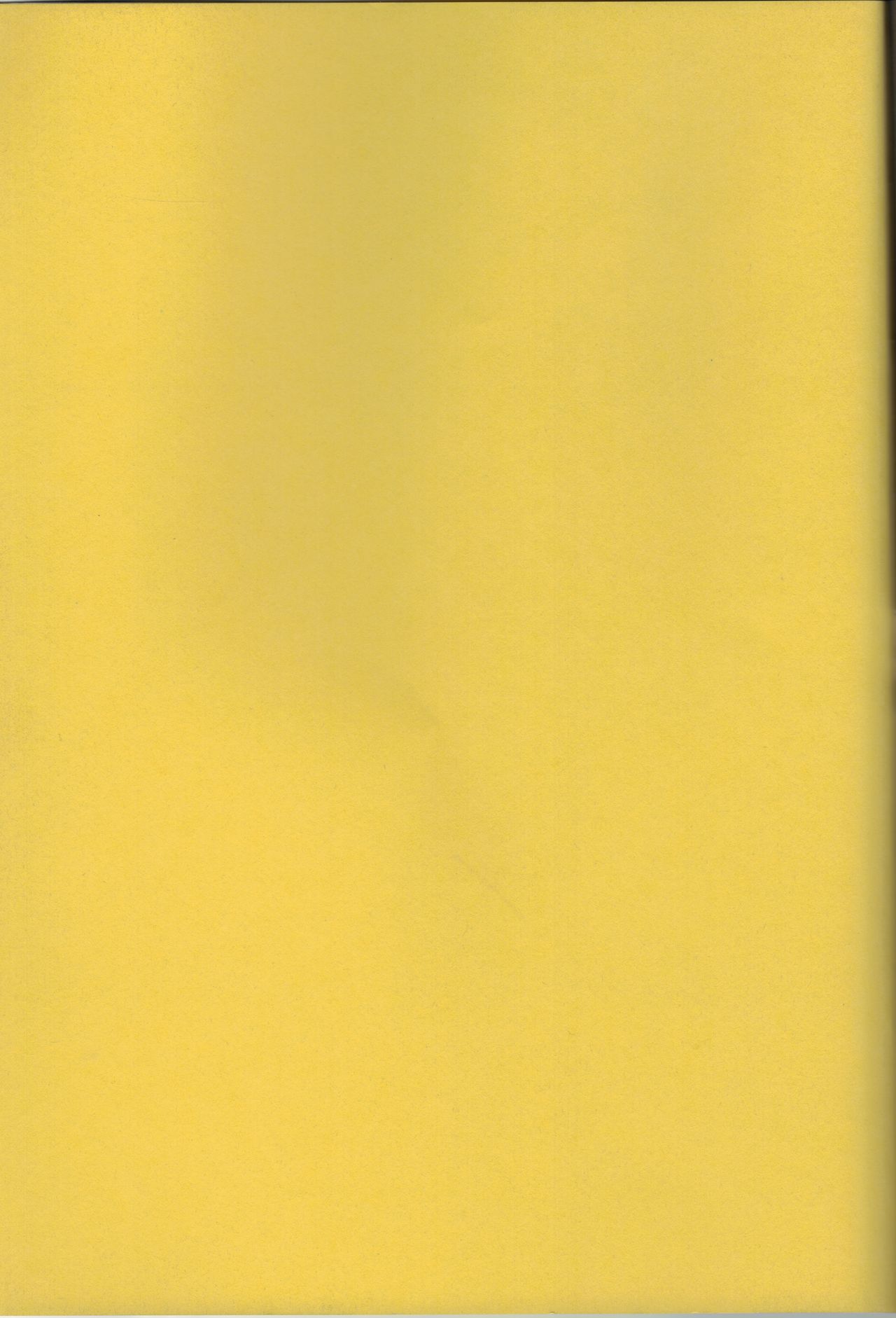 [Tekkyuu Chain (Kirimomi Shoot)] BREAK PHOENIX (Mahou Shoujo Lyrical Nanoha) 图片编号 30