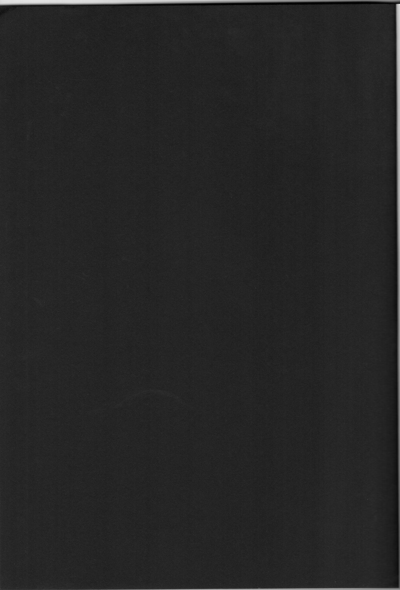 [Tonari no Yama (Yokoyama Kouji)] Django!!! (Mahou Shoujo Lyrical Nanoha) 画像番号 2