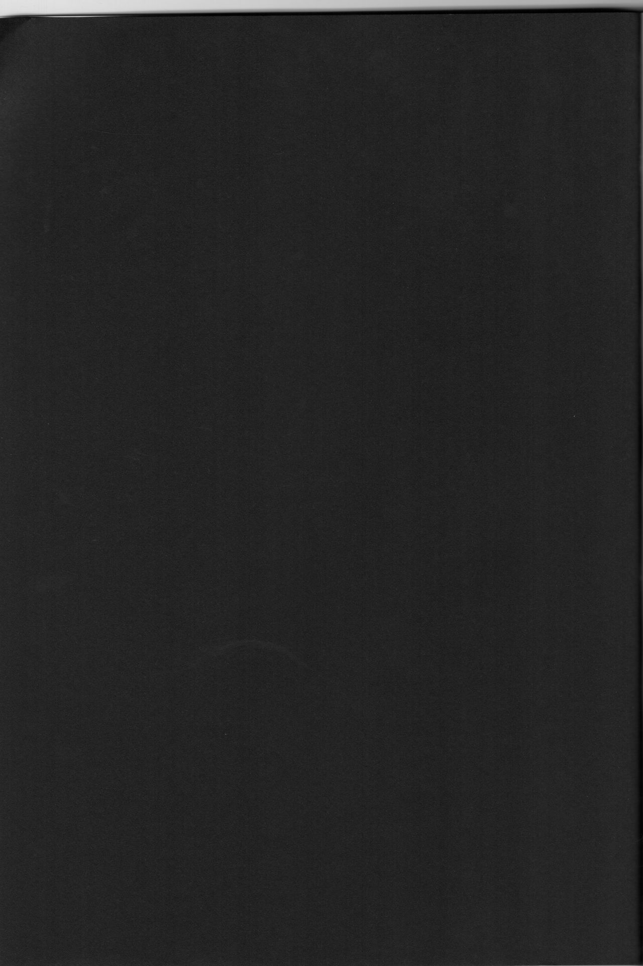 [Tonari no Yama (Yokoyama Kouji)] Django!!! (Mahou Shoujo Lyrical Nanoha) 画像番号 19