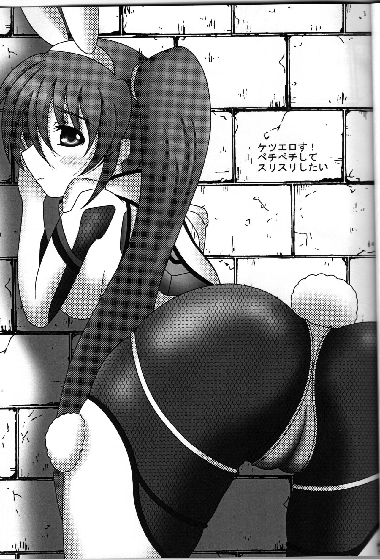 [Nantoka no Neko Hako (Neko Hako)] CosplayerS (Mahou Shoujo Lyrical Nanoha) 图片编号 8