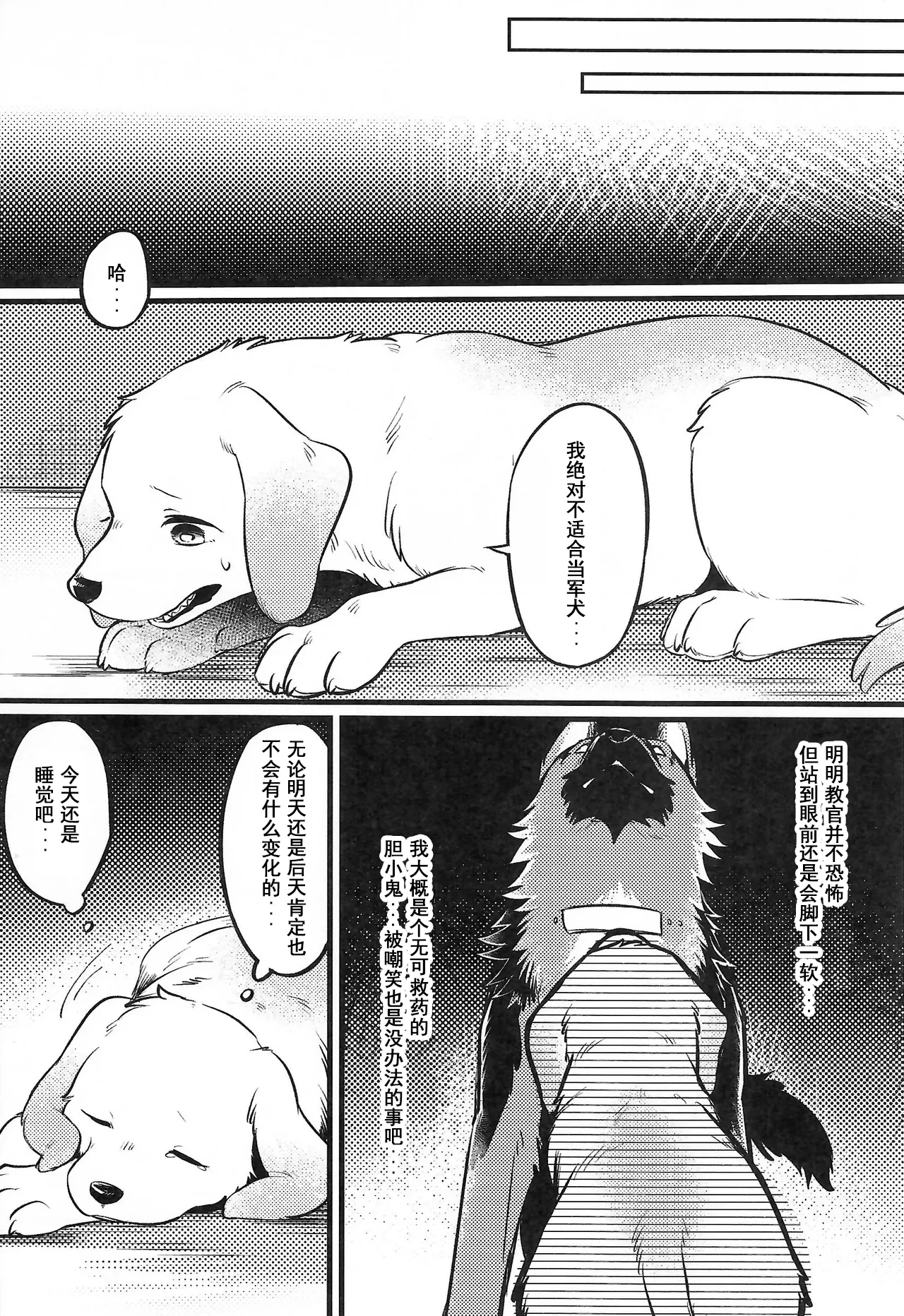 (Kemoket 16) [Kaiten ParaDOGs (Minaga Tsukune)] Midnight Gokuhi Kunren | 午夜时下极密训练 [Chinese]  [Skaarsgard个人汉化] image number 4