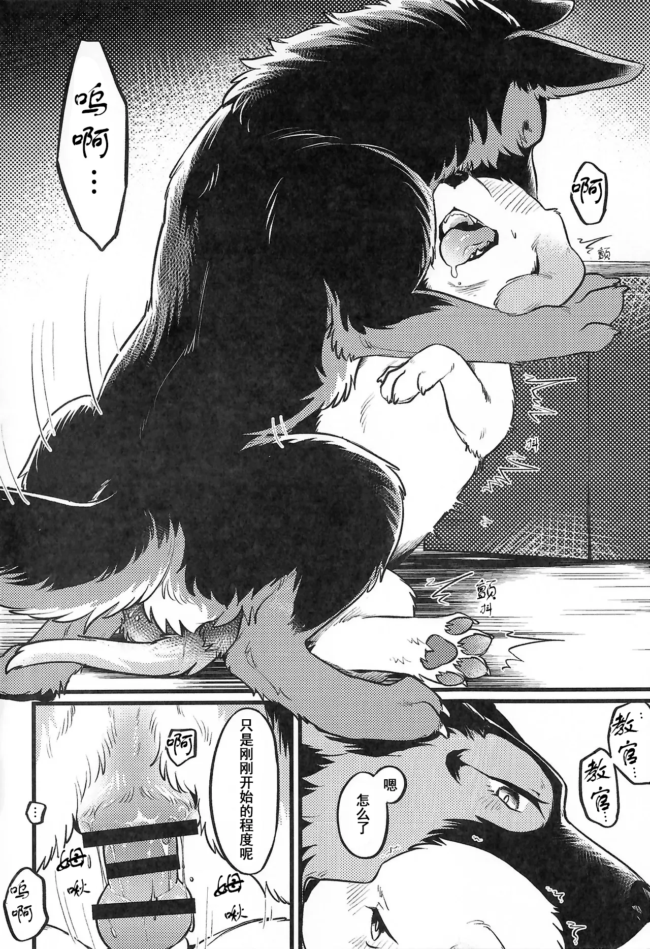 (Kemoket 16) [Kaiten ParaDOGs (Minaga Tsukune)] Midnight Gokuhi Kunren | 午夜时下极密训练 [Chinese]  [Skaarsgard个人汉化] image number 13