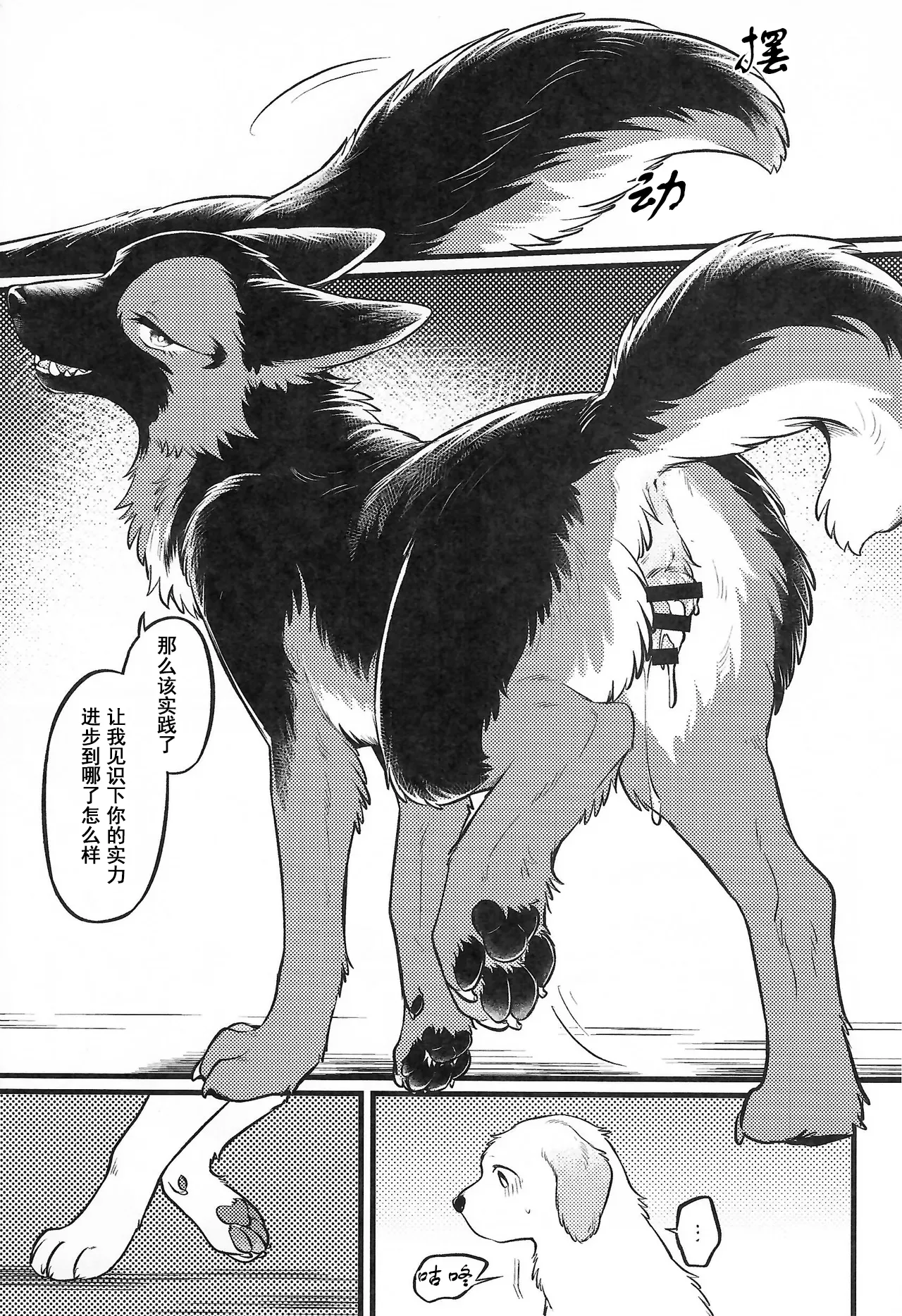 (Kemoket 16) [Kaiten ParaDOGs (Minaga Tsukune)] Midnight Gokuhi Kunren | 午夜时下极密训练 [Chinese]  [Skaarsgard个人汉化] image number 16