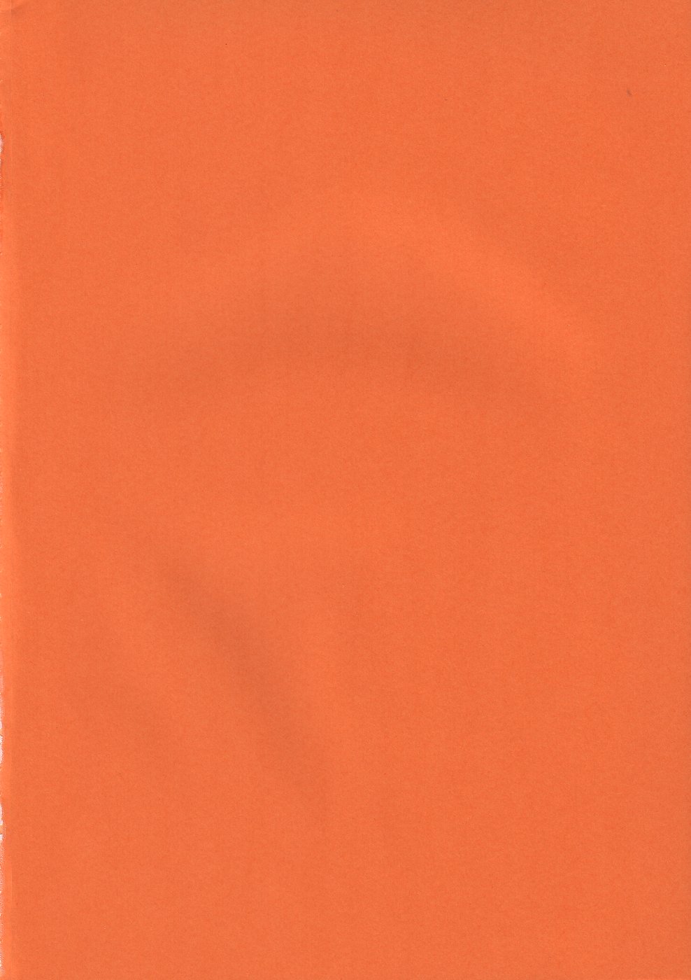 (CSP4) [I&I (Naohiro)] SHINJI 03 (Neon Genesis Evangelion) [Italian] 画像番号 3