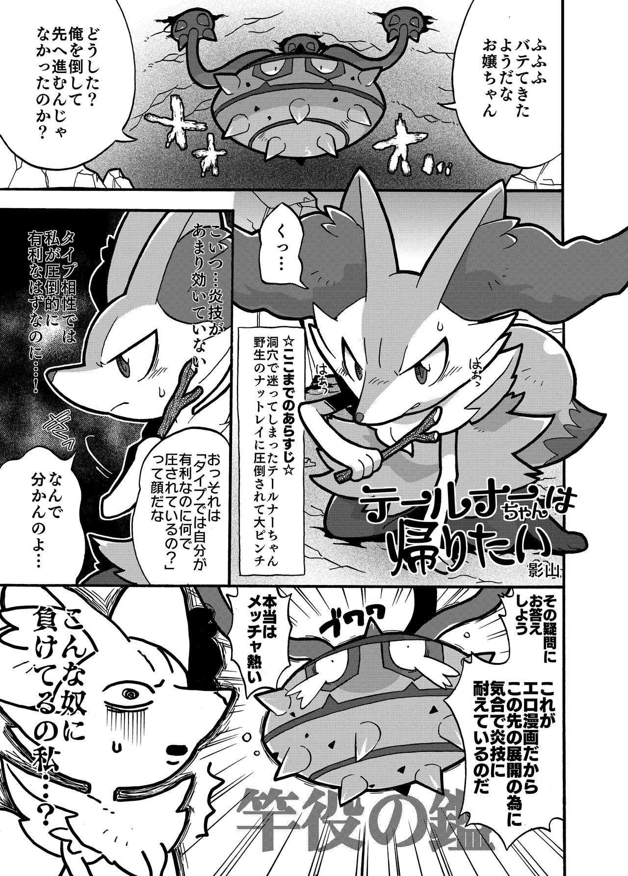 [Kgym/Kageyama] Braixen x Ferrothorn numero di immagine  1