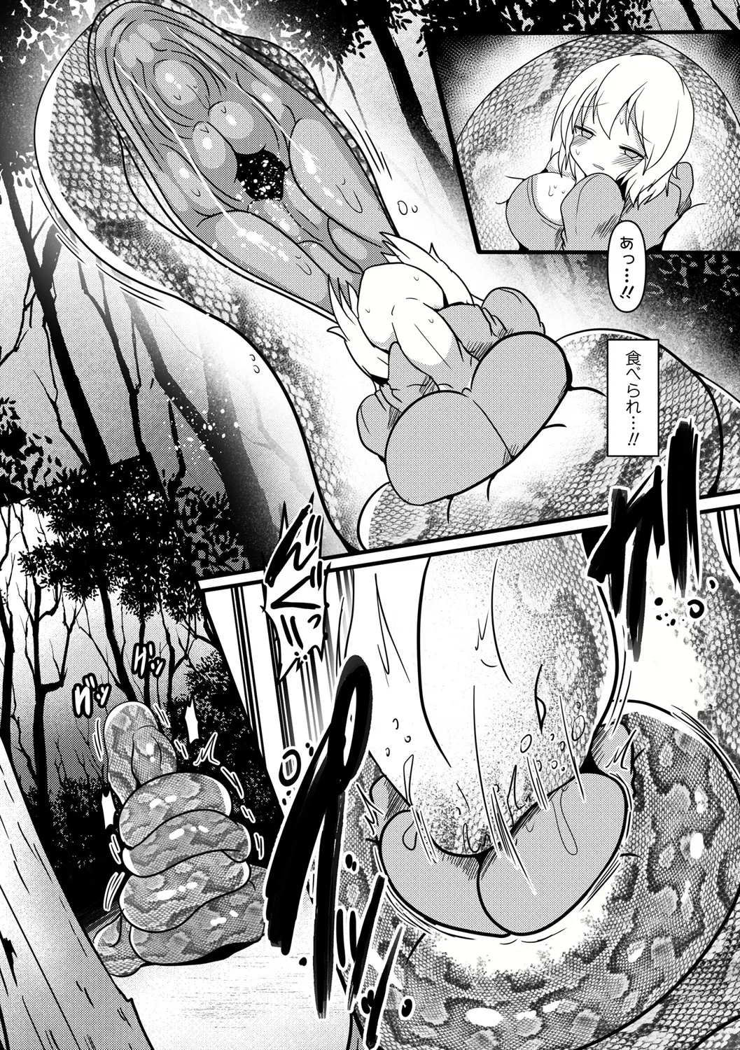 [Taku] Shinmidori no Hoshokusha [Digital] image number 5