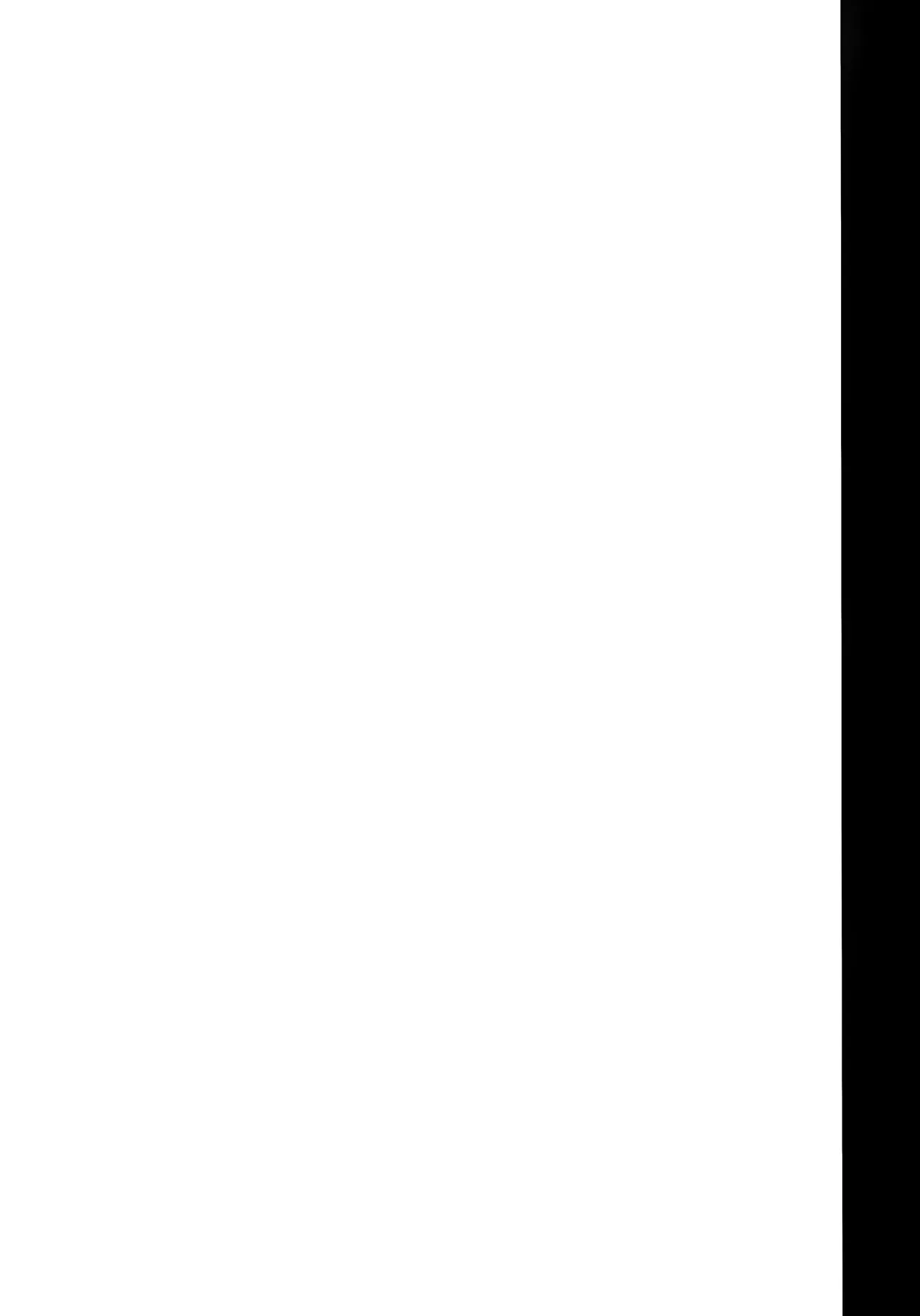 (C76) [Heaven's Gate (Andou Tomoya)] Neko Biyori -Nakano Azusa- (K-ON!) [Textless] numero di immagine  2