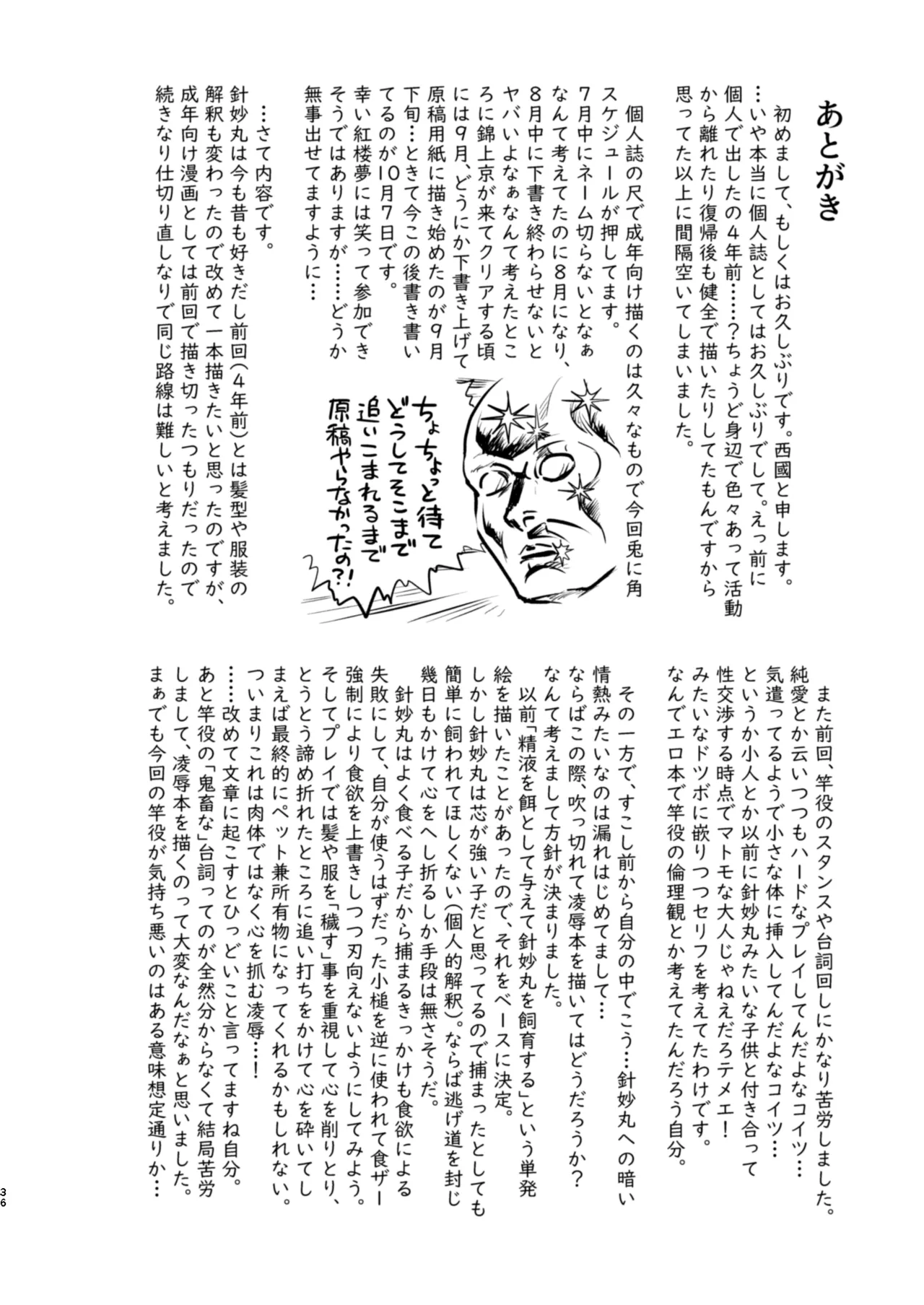 [Saigoku] Kobito no "Shiiku" Kiroku (Touhou Project) image number 36