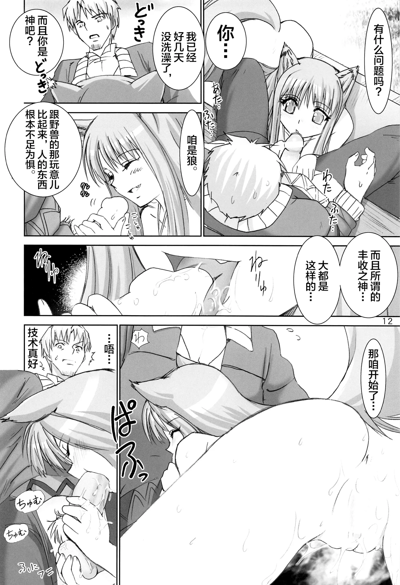 [Raijinkai (Harukigenia)] WOLF ROAD (Kaiteiban) (Spice and Wolf) [Chinese] [不咕鸟汉化组] 图片编号 11