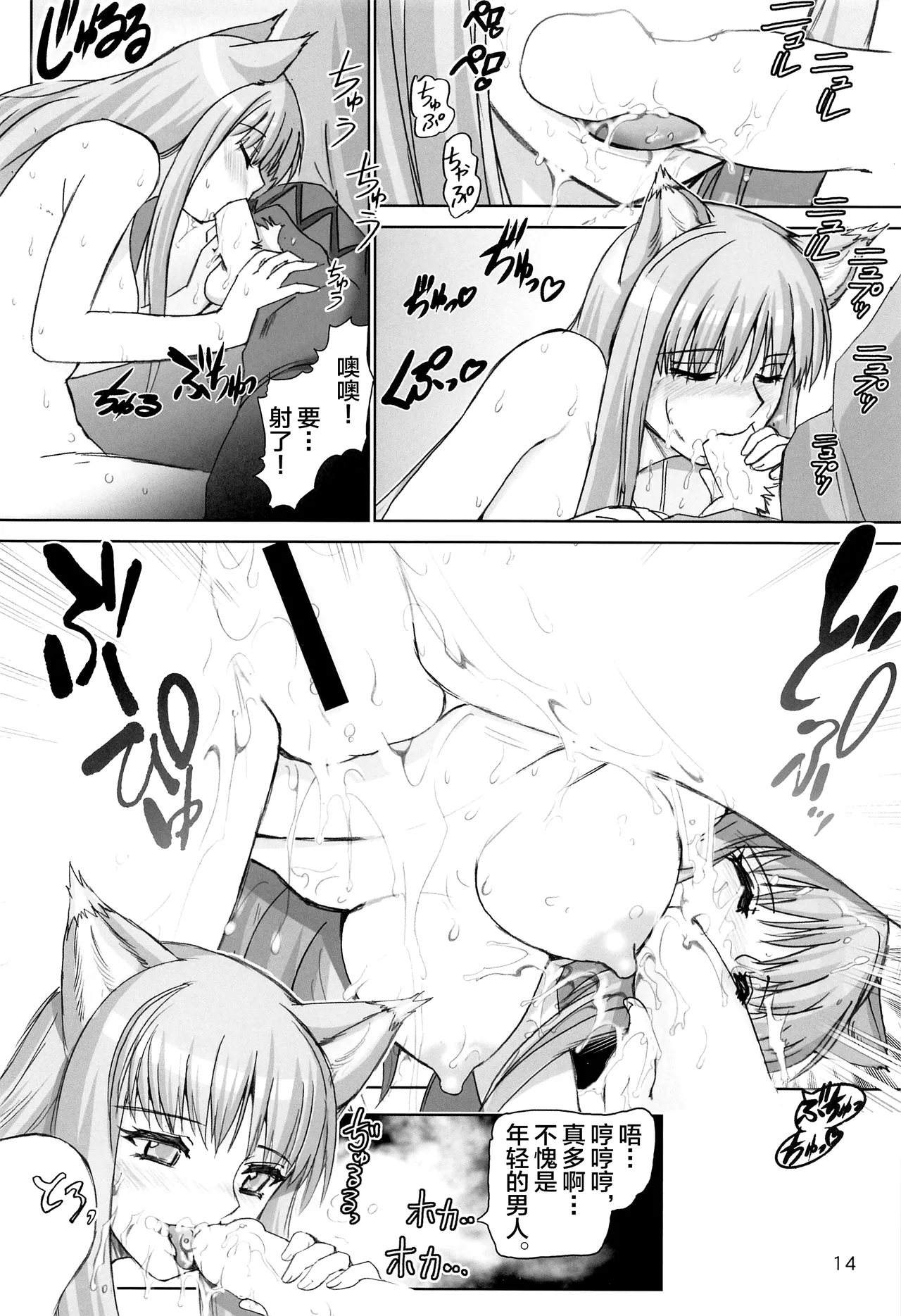 [Raijinkai (Harukigenia)] WOLF ROAD (Kaiteiban) (Spice and Wolf) [Chinese] [不咕鸟汉化组] 图片编号 13