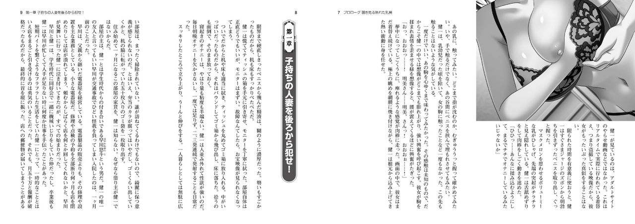 Chijoku No Seifuku - Light Novel【PV】 图片编号 4