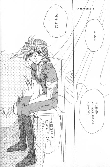 [Youkai Club (Hazuki Younosuke)] Amaryllis (Gundam Wing) 图片编号 16