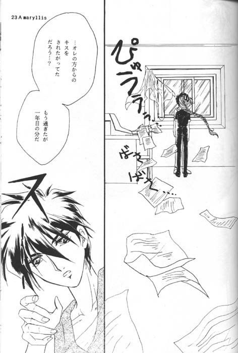 [Youkai Club (Hazuki Younosuke)] Amaryllis (Gundam Wing) 图片编号 21