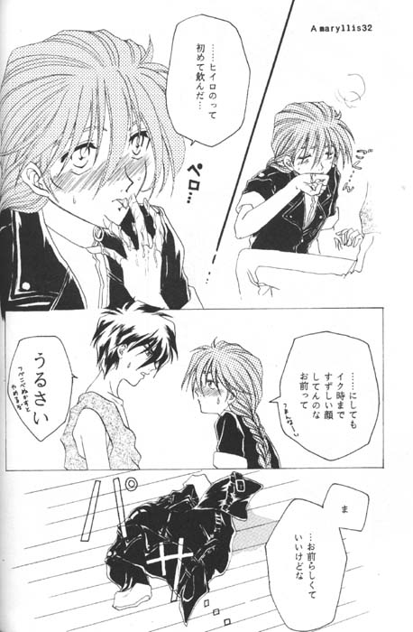 [Youkai Club (Hazuki Younosuke)] Amaryllis (Gundam Wing) 图片编号 30