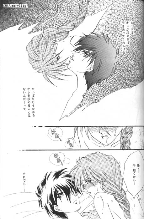 [Youkai Club (Hazuki Younosuke)] Amaryllis (Gundam Wing) 图片编号 33