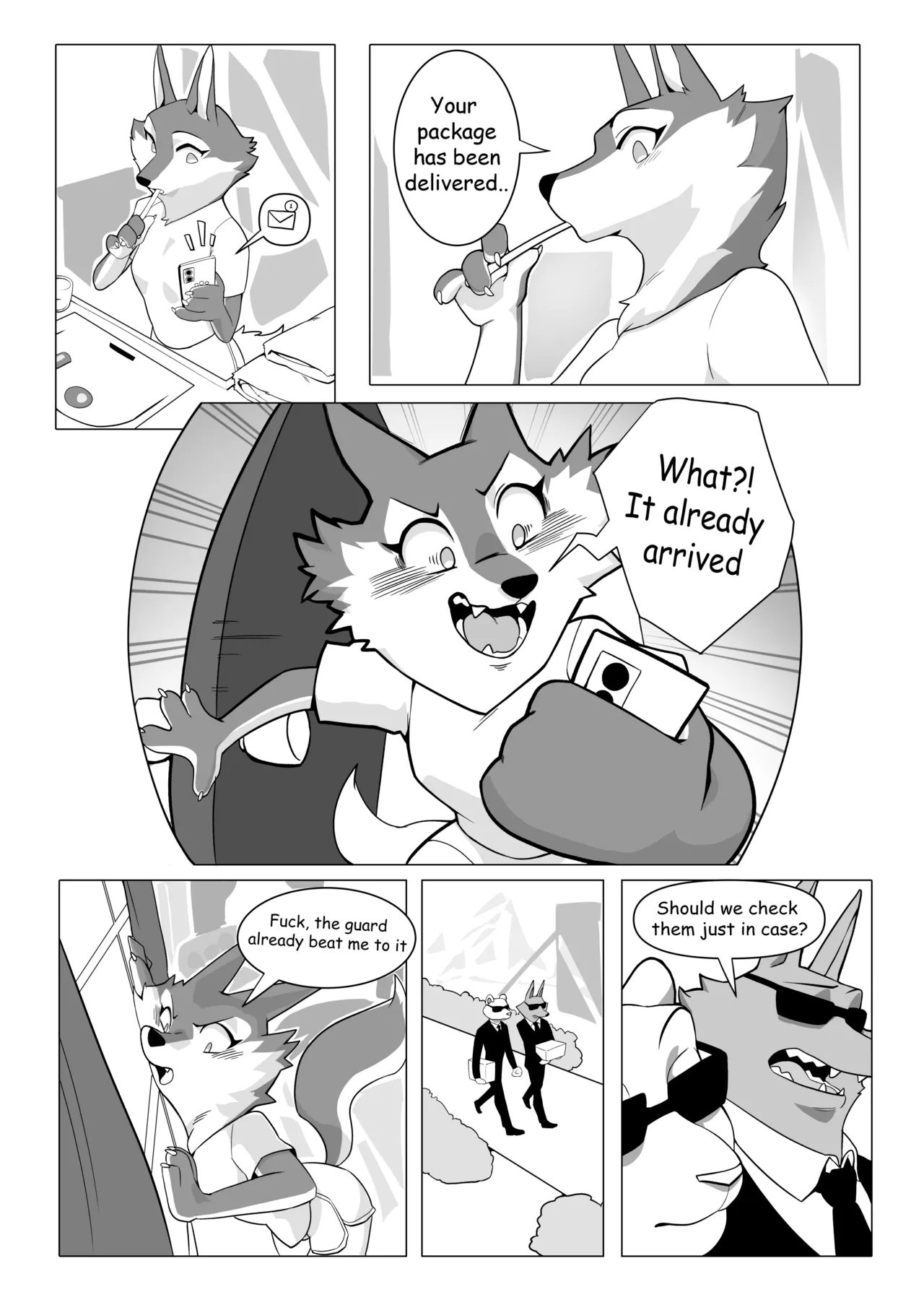 Secret Package 图片编号 3