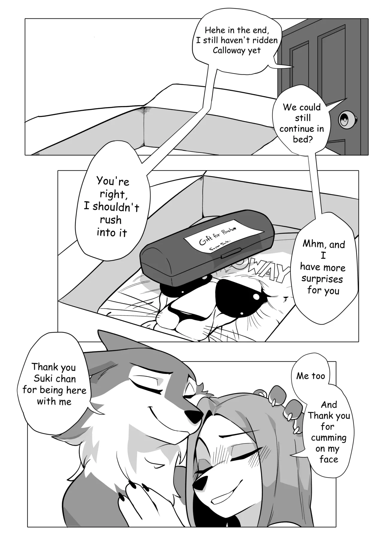 Secret Package 图片编号 23