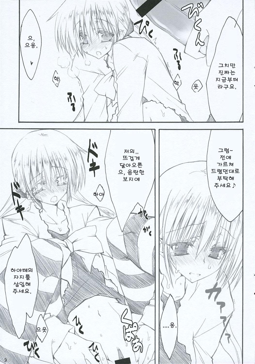 (CT7) [Zattou Keshiki, 4T (10mo, Takayoshi)] Tobu ga Gotoku! (Hayate no Gotoku!) [korean] 图片编号 9