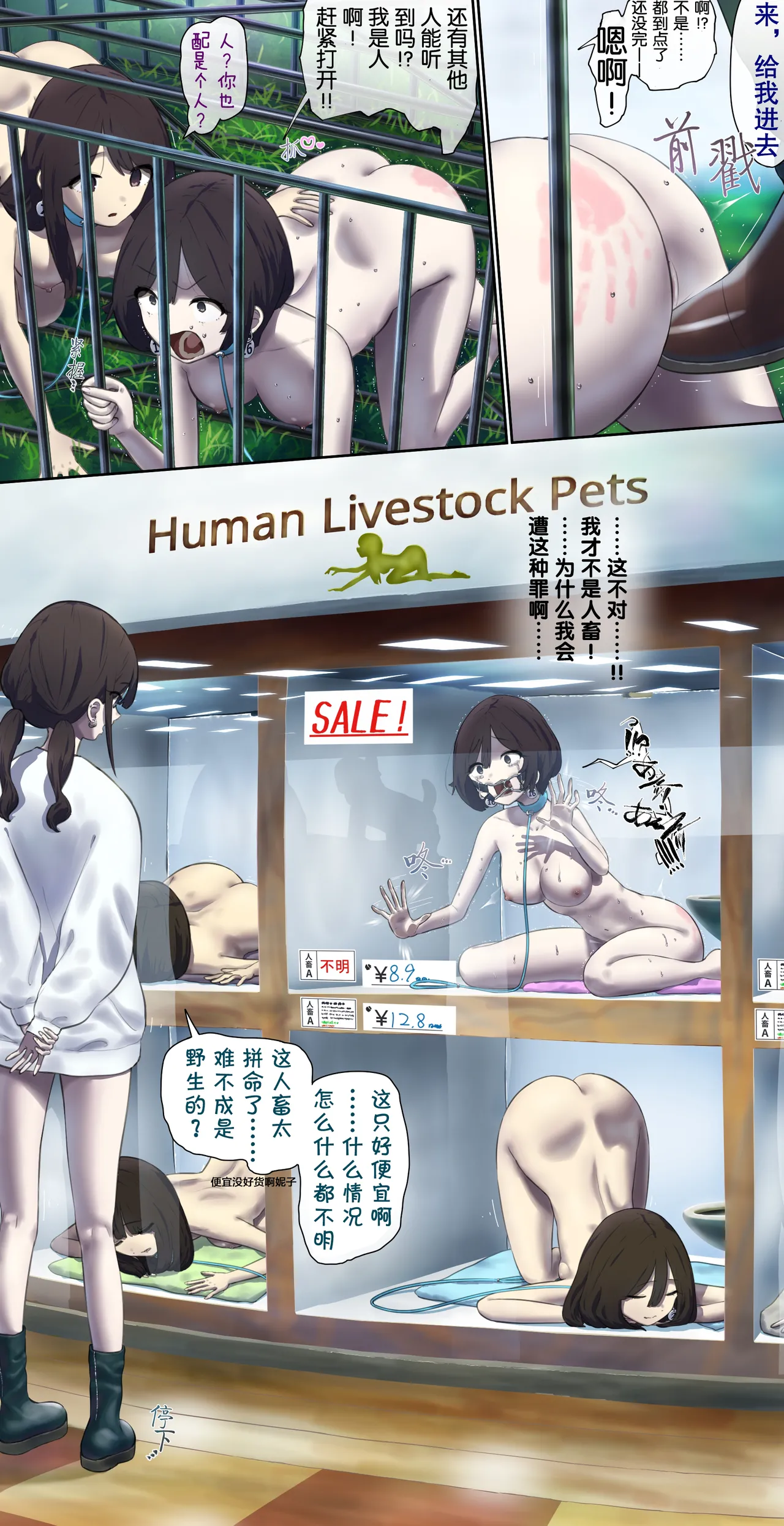 [Fest]Volunteer for pet human livestock sales promotion event [Chinese] imagen número 4