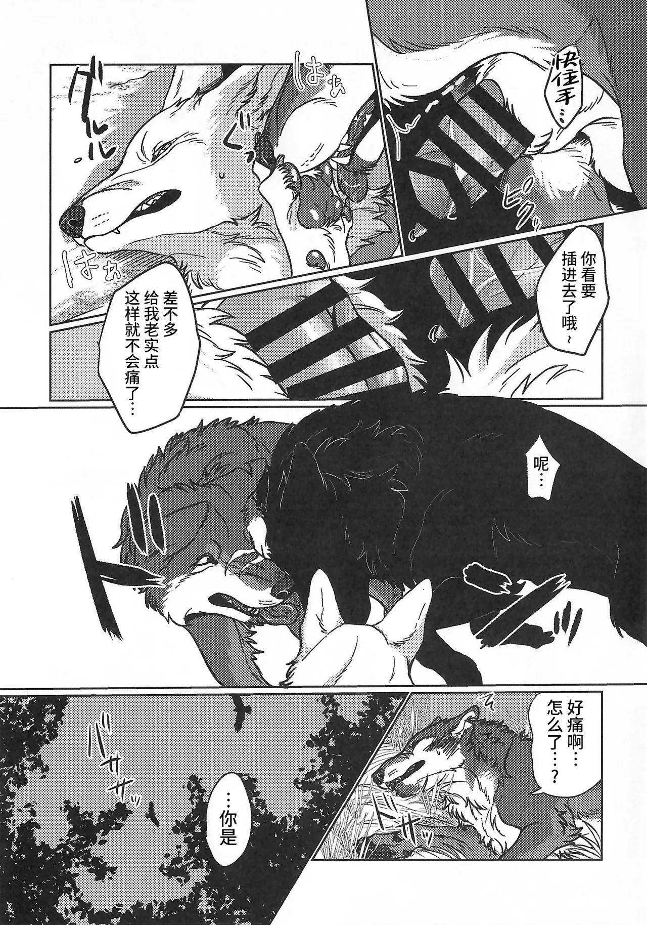 (Kansai Kemoket 10) [Neko no Shuukaijo (Nekomata)] 永恒的至爱 | ETERNAL FIRST [海豚之涌众筹汉化] 图片编号 6