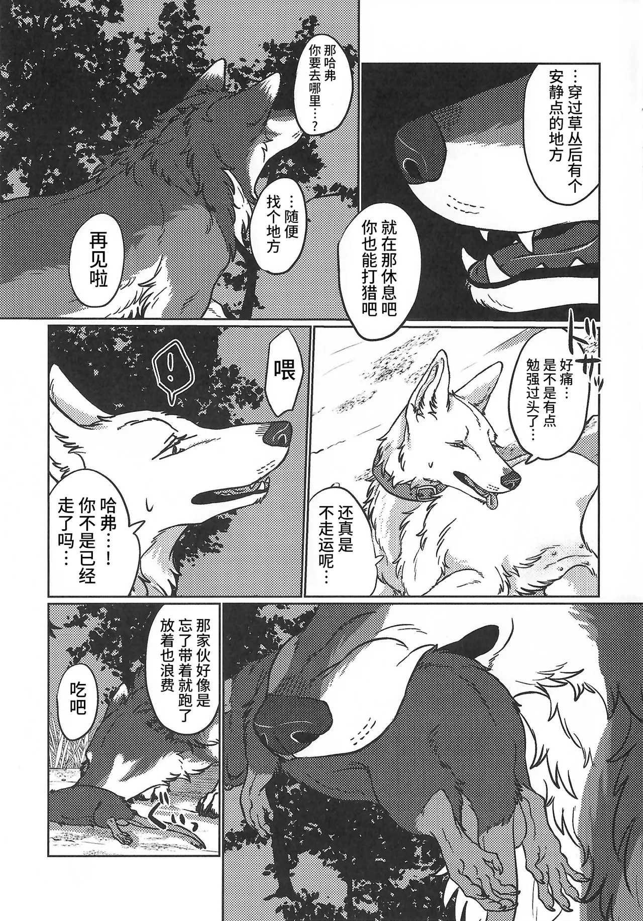 (Kansai Kemoket 10) [Neko no Shuukaijo (Nekomata)] 永恒的至爱 | ETERNAL FIRST [海豚之涌众筹汉化] 图片编号 10