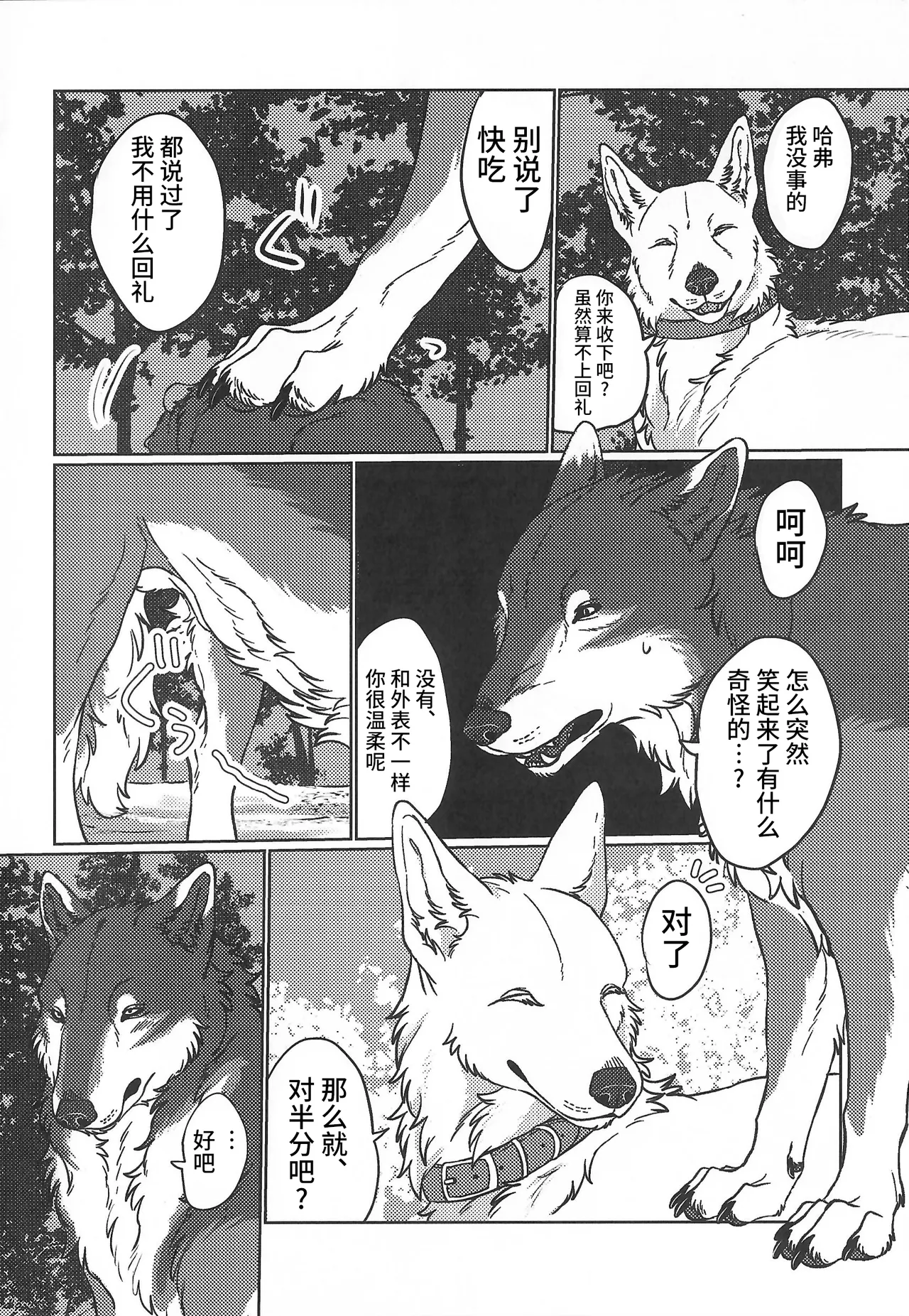 (Kansai Kemoket 10) [Neko no Shuukaijo (Nekomata)] 永恒的至爱 | ETERNAL FIRST [海豚之涌众筹汉化] 图片编号 11