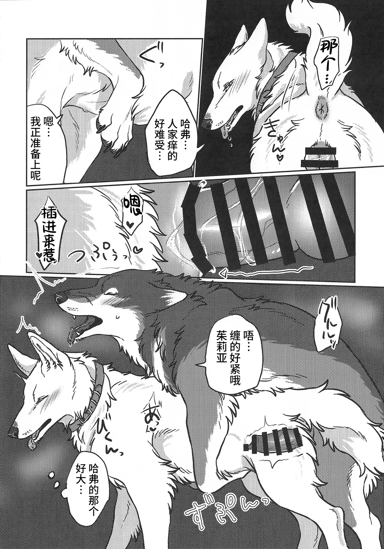 (Kansai Kemoket 10) [Neko no Shuukaijo (Nekomata)] 永恒的至爱 | ETERNAL FIRST [海豚之涌众筹汉化] 图片编号 19