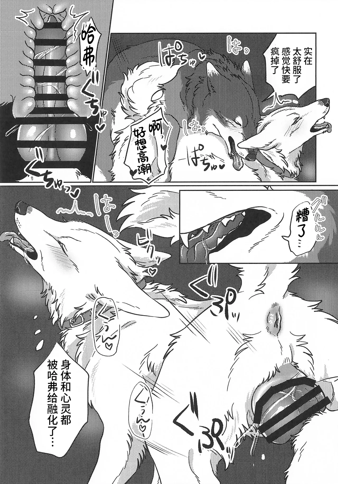 (Kansai Kemoket 10) [Neko no Shuukaijo (Nekomata)] 永恒的至爱 | ETERNAL FIRST [海豚之涌众筹汉化] 图片编号 20