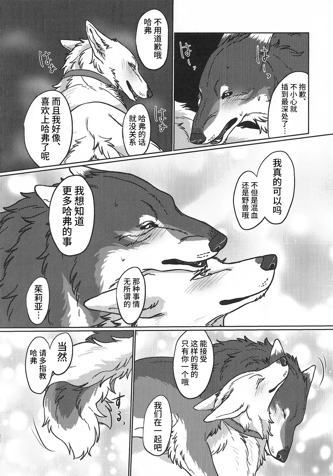 (Kansai Kemoket 10) [Neko no Shuukaijo (Nekomata)] 永恒的至爱 | ETERNAL FIRST [海豚之涌众筹汉化] 图片编号 23