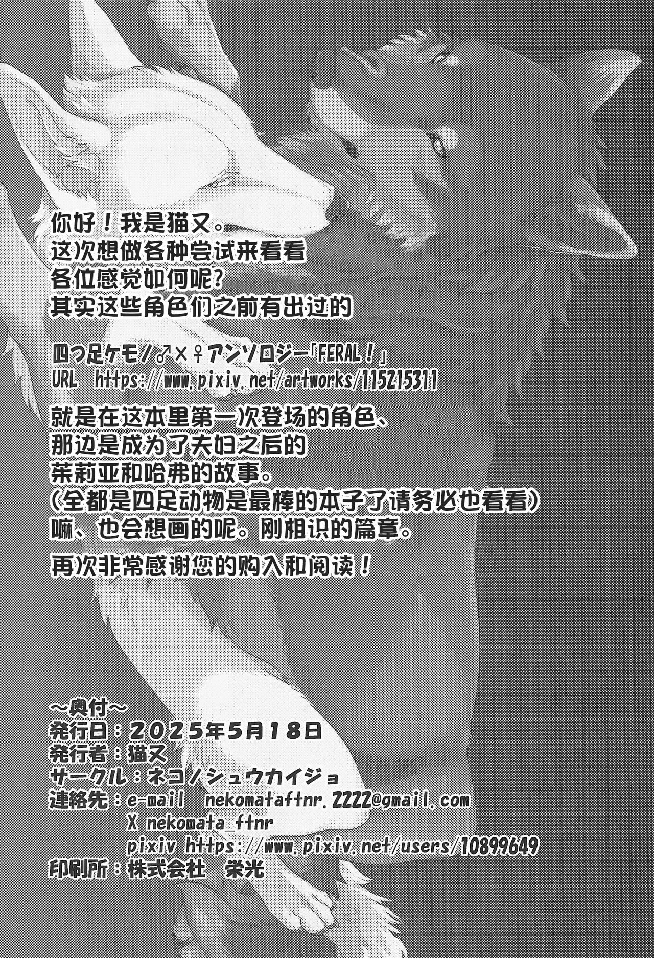 (Kansai Kemoket 10) [Neko no Shuukaijo (Nekomata)] 永恒的至爱 | ETERNAL FIRST [海豚之涌众筹汉化] 图片编号 25