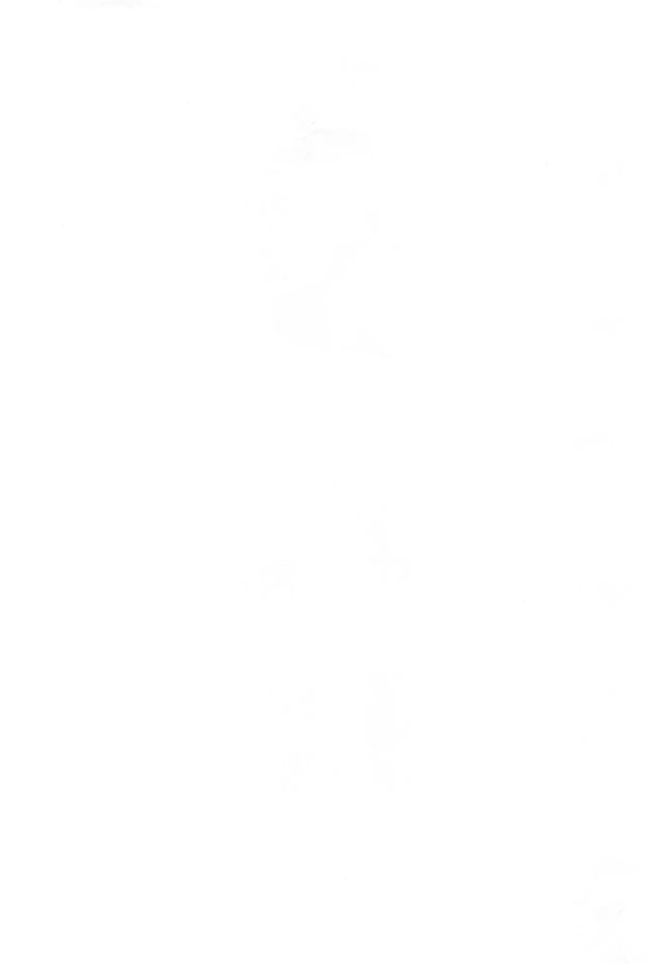 [STAR BERRY (Yamaneko Suzume)  TSF shōto matome hon 图片编号 2