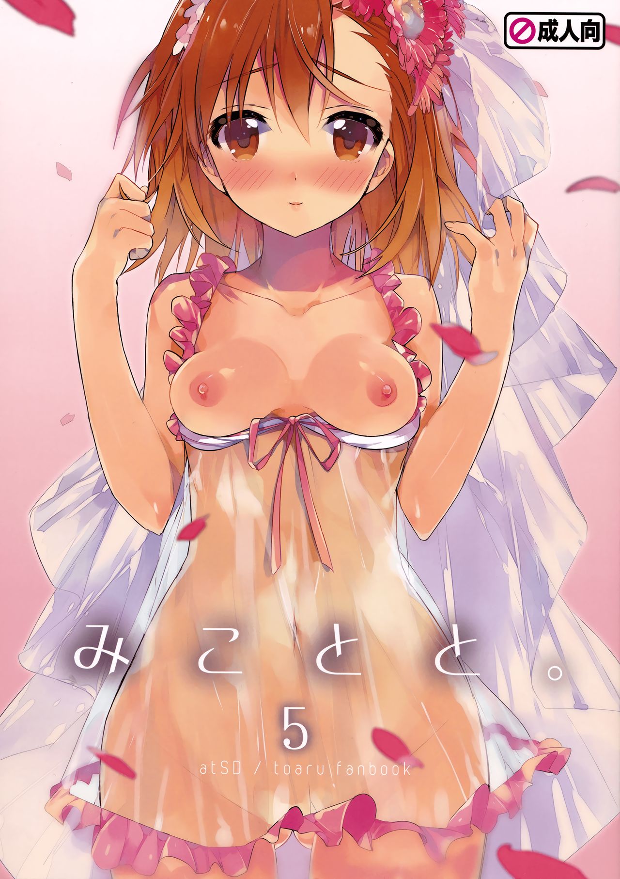 (C84) [atSD (Tsuneyoshi)] Mikoto to. 5 (Toaru Majutsu no Index) [Korean] image number 2