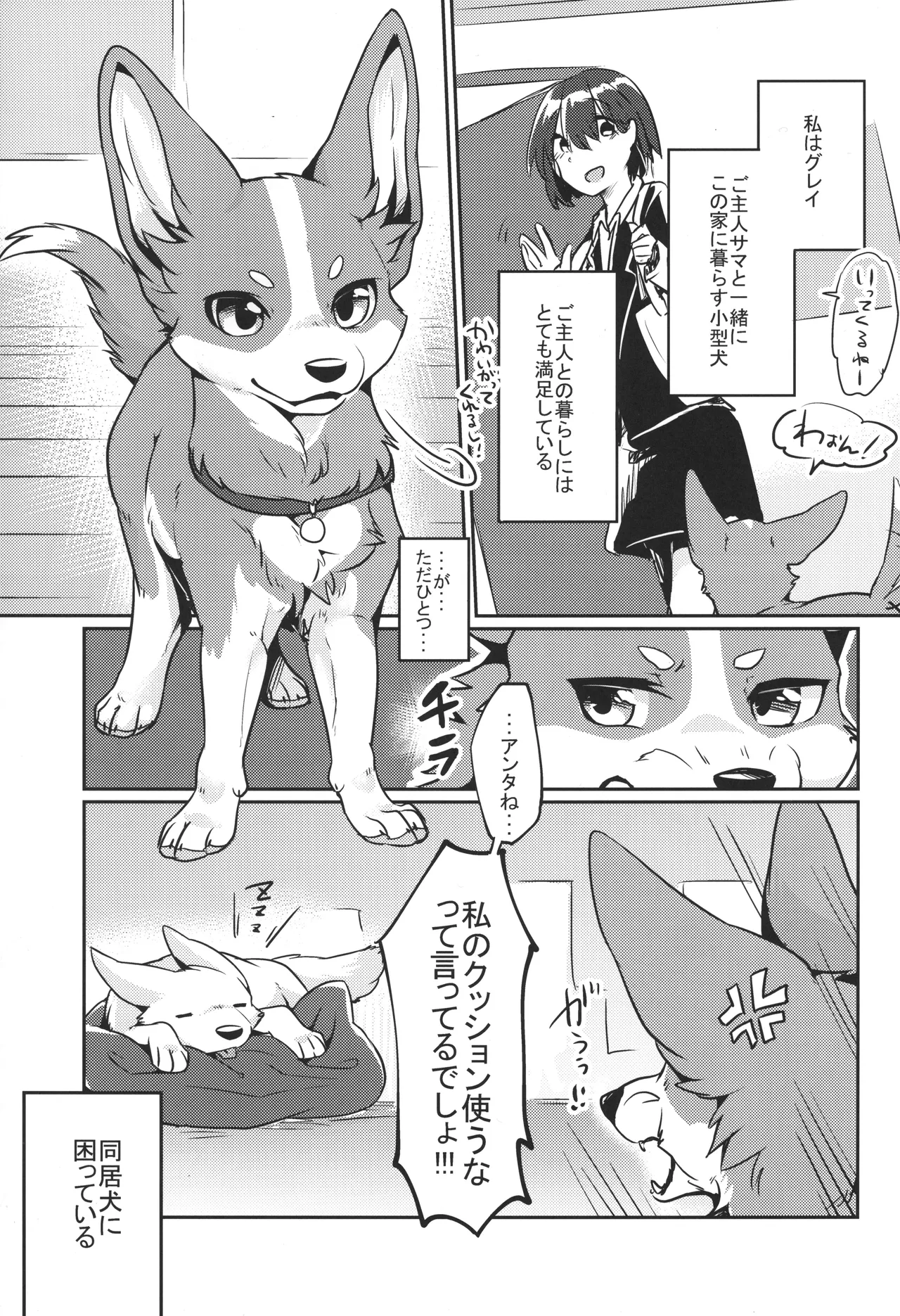 [Kaiten ParaDOGs (Diga Tsukune)] 1DK 图片编号 4