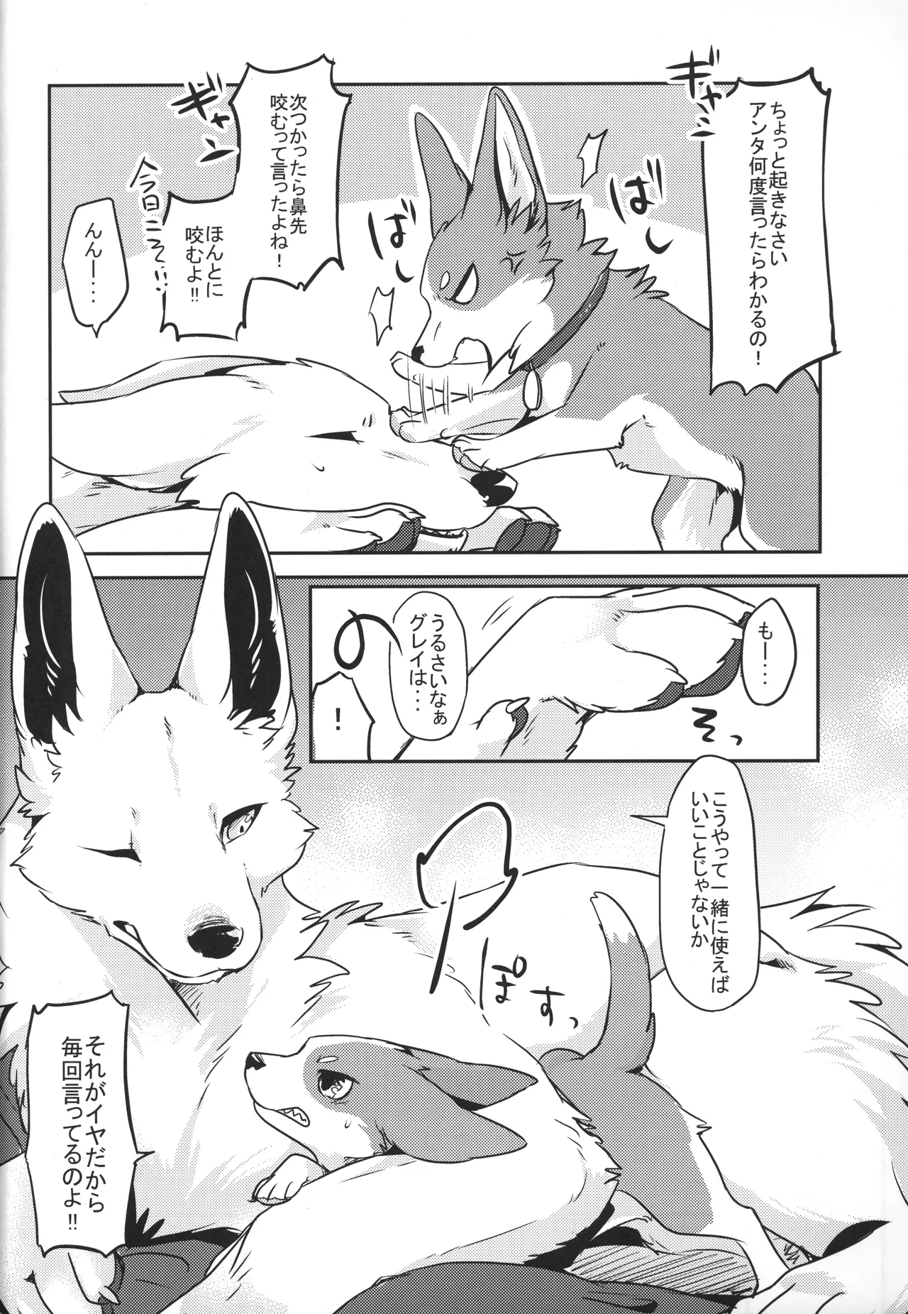 [Kaiten ParaDOGs (Diga Tsukune)] 1DK 图片编号 5