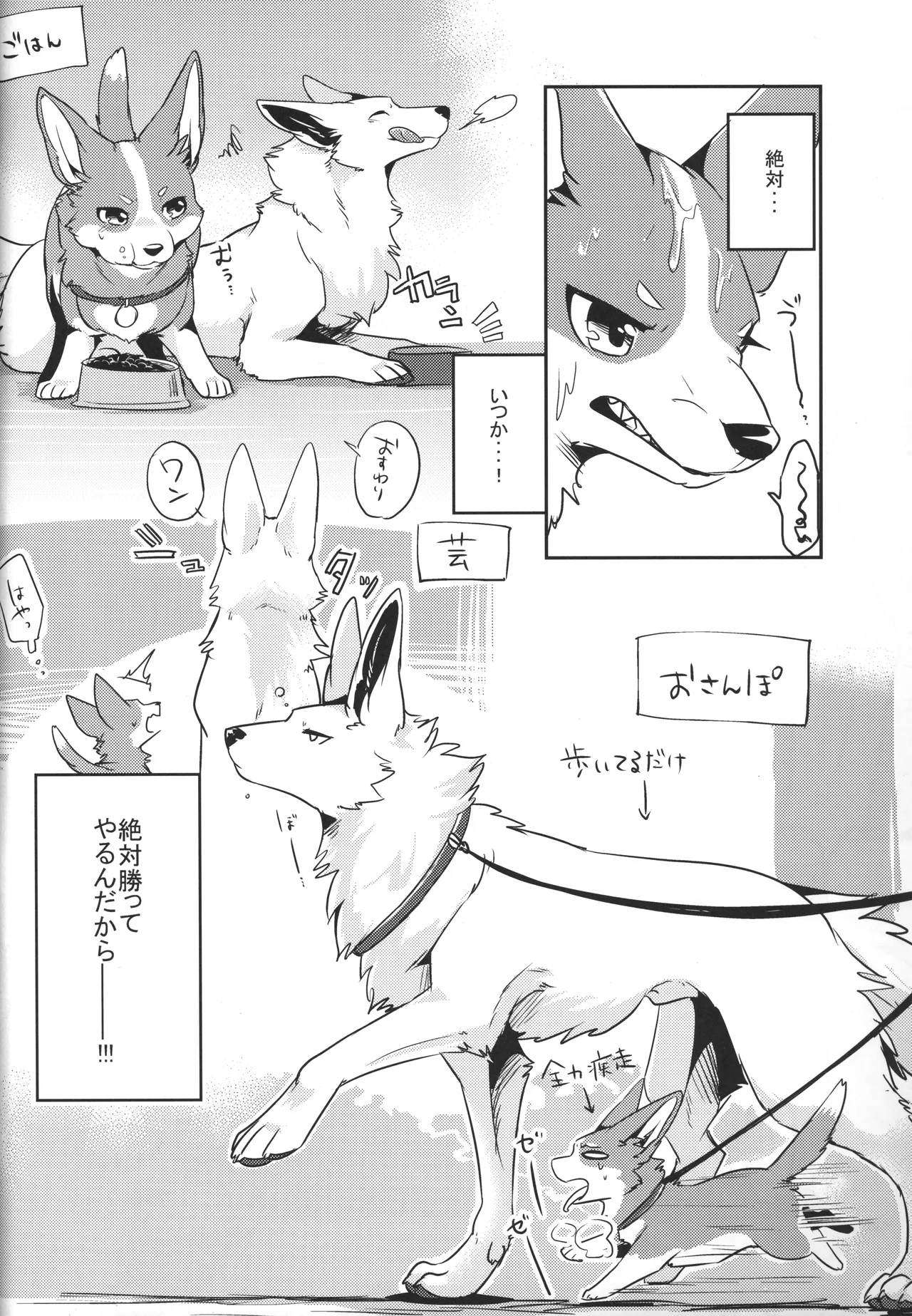 [Kaiten ParaDOGs (Diga Tsukune)] 1DK 图片编号 7