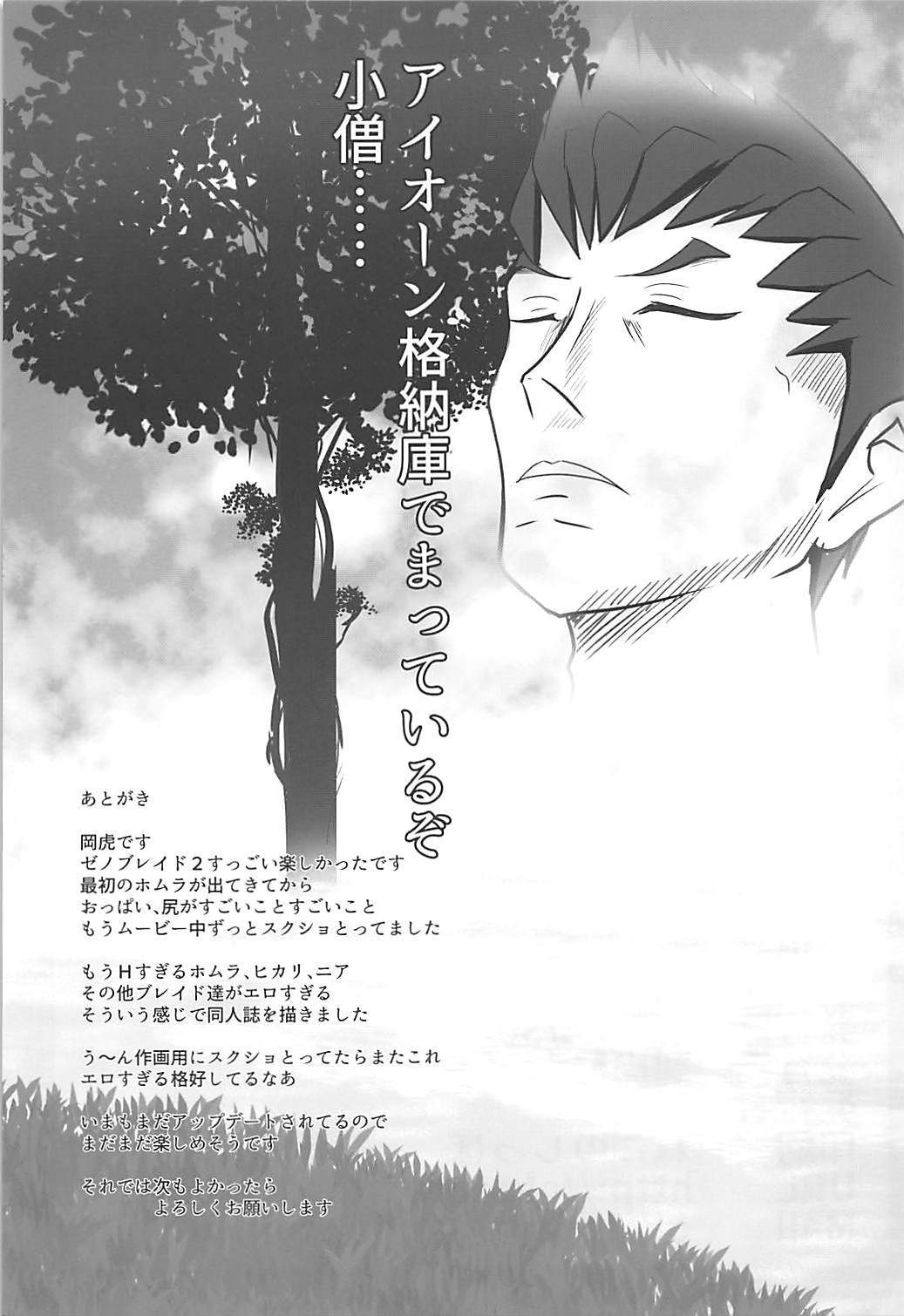 (COMIC1☆13) [Okatoraya (Okatora)] HOMUHIKAex (Xenoblade Chronicles 2) [Spanish] [Revolution no Fansub] изображение № 24