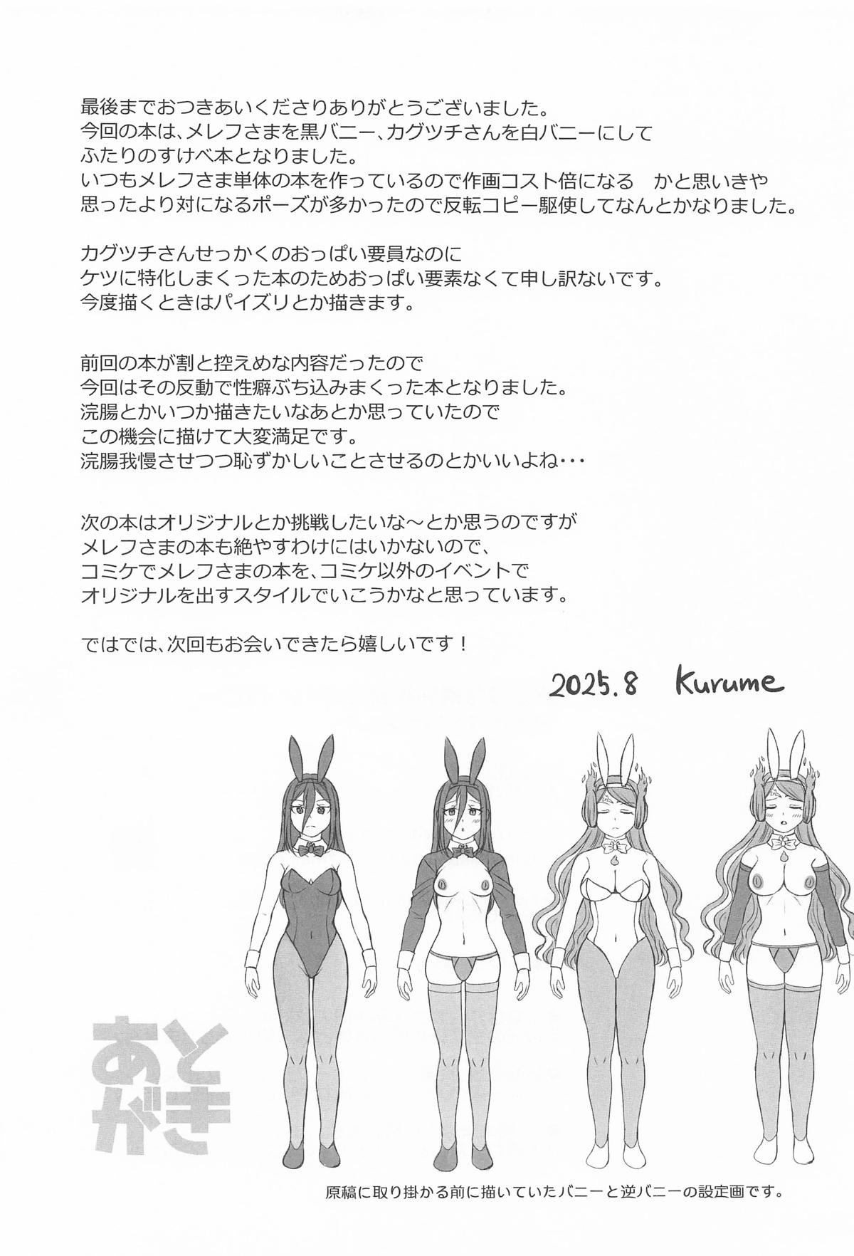 [S.M.L ] メレフ特別執権官のあやしいバニー ～カグツチといっしょ!～ (ゼノブレイド2) 画像番号 28