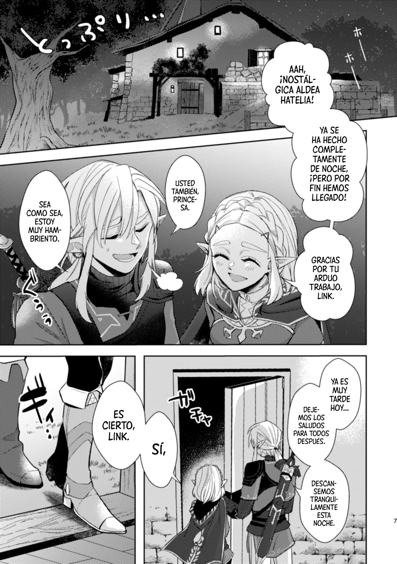 [Horete Mauu Yarou (Mauu)] Staycation! | ¡Vacaciones en casa! (The Legend of Zelda: Tears of the Kingdom) [Spanish] [Mister Nugget] [Digital] numero di immagine  6